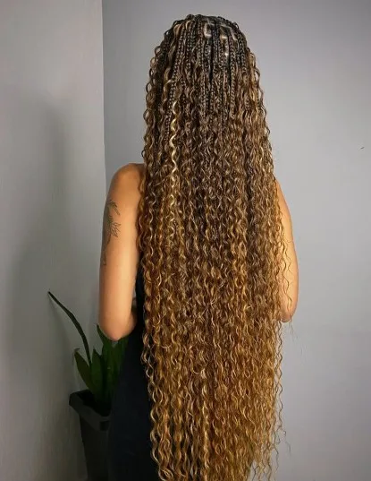 Gypsy Braids
